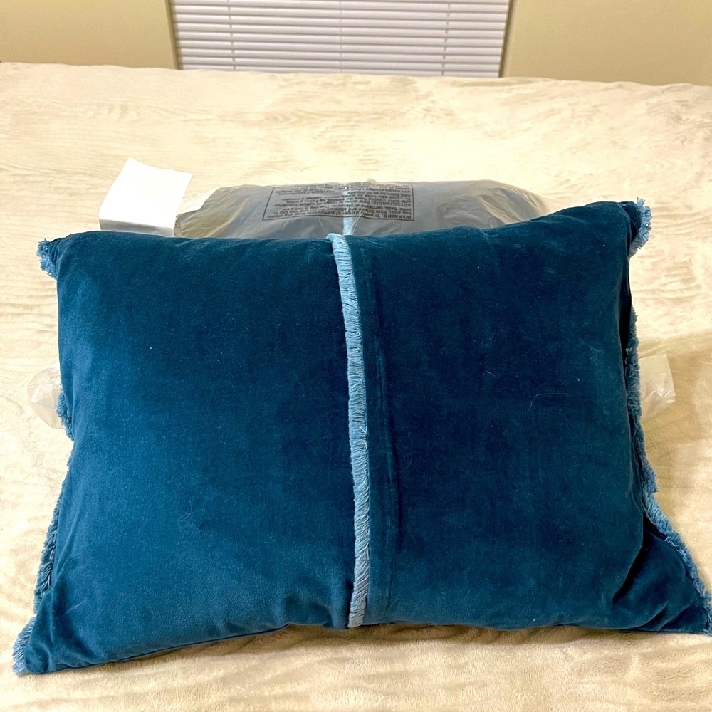 2 velvet Vera Wang throw pillows